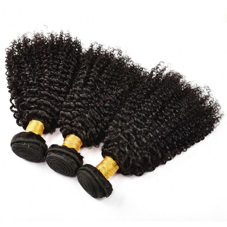 100 Virgin Malaysian Curly Hair for Black Women